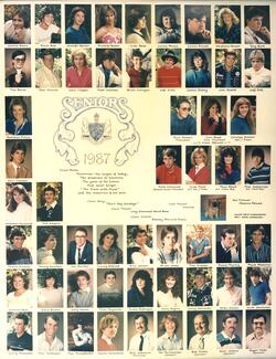 Our Senior Picture Colloage